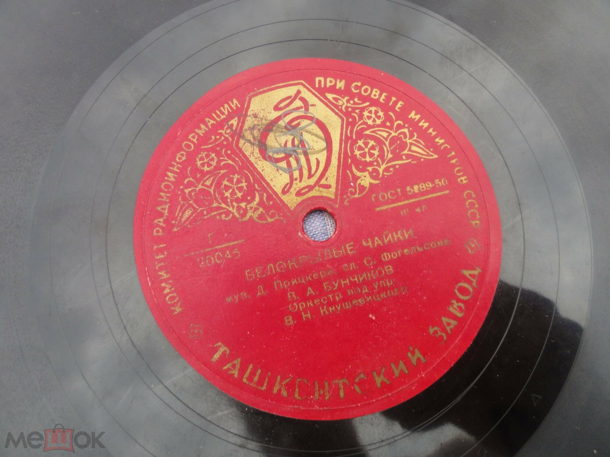 Белокрылые чайки / Снова яблоня цветёт