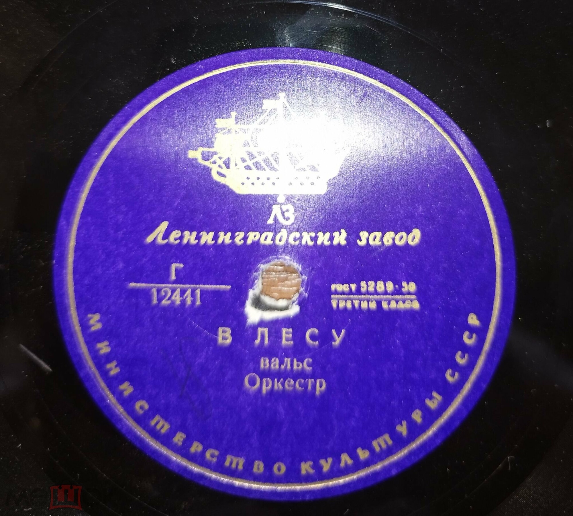 В лесу / Медленный танец