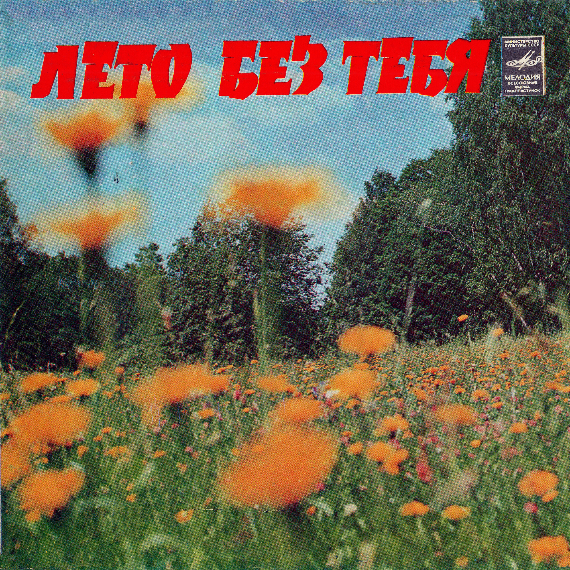 Лето без тебя