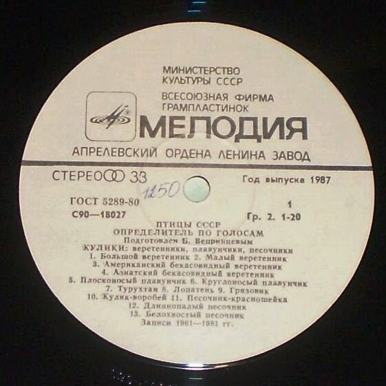 ПТИЦЫ СССР. Определитель по голосам (подготовлен Б. Вепринцевым).