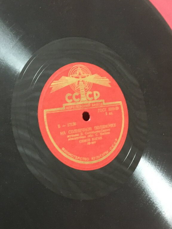 Одинокая гармонь / На солнечной поляночке