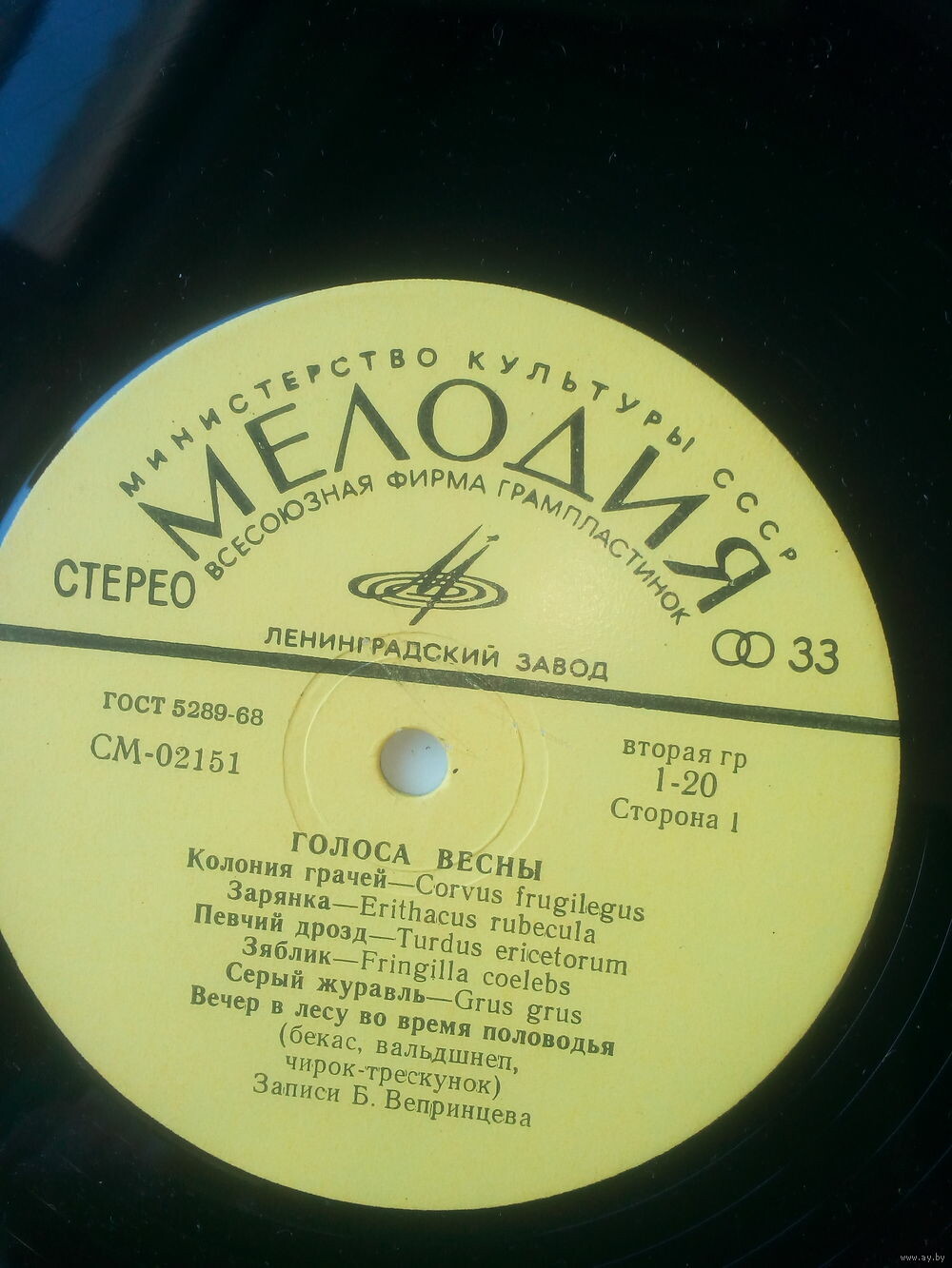 ГОЛОСА ВЕСНЫ  (записи пения и голосов птиц)