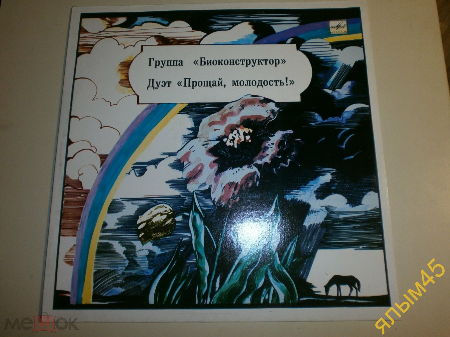 Группа "Биоконструктор", дуэт "Прощай, молодость"