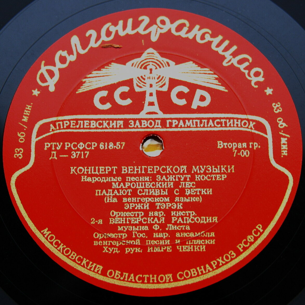 Концерт венгерской музыки