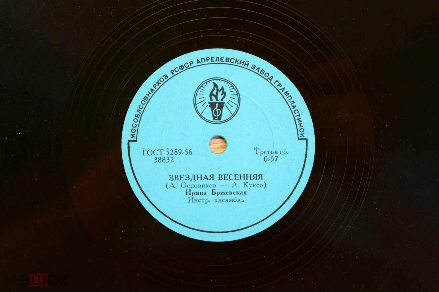 Ирина Бржевская