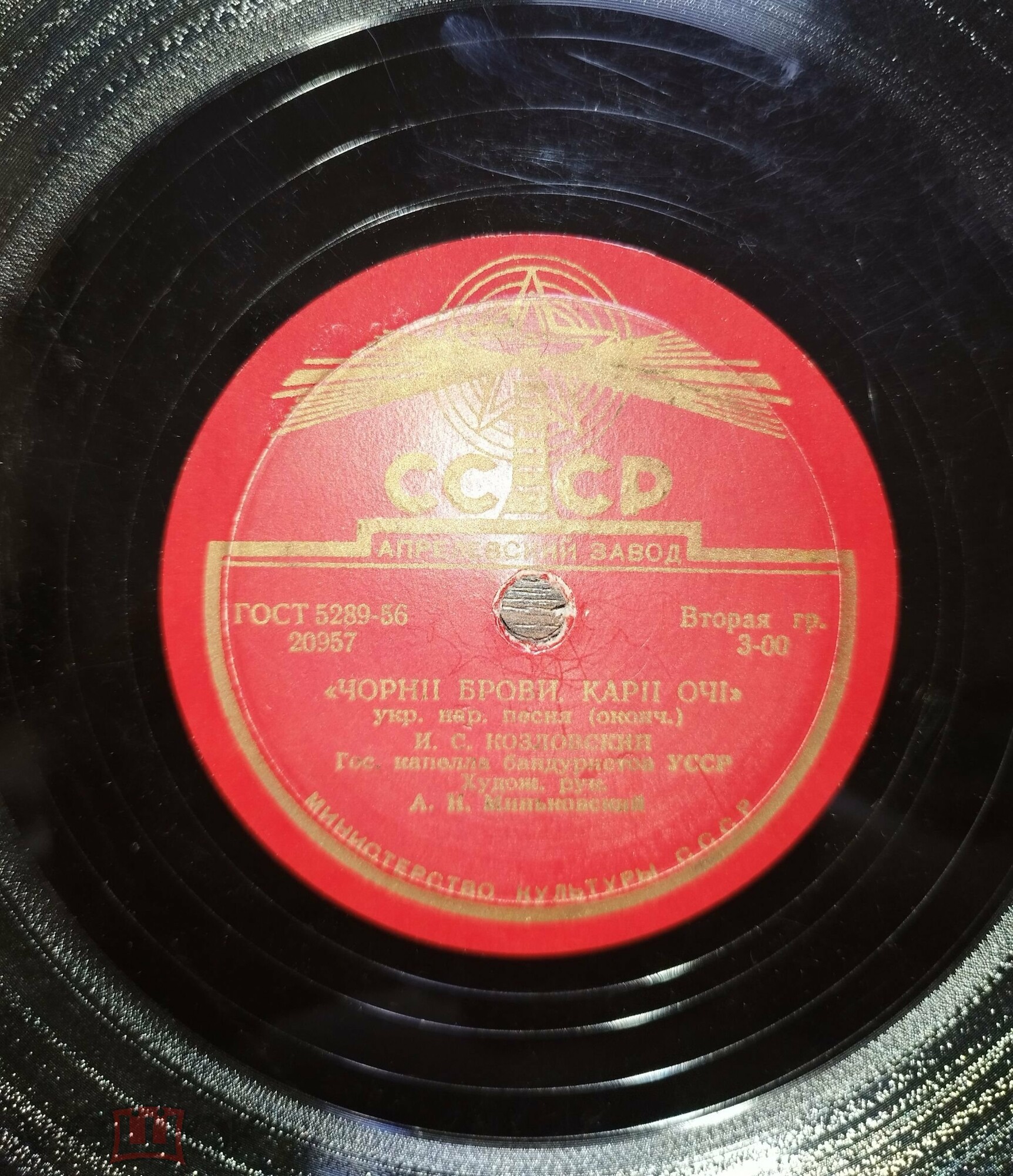 Чорнії брови, карії очі