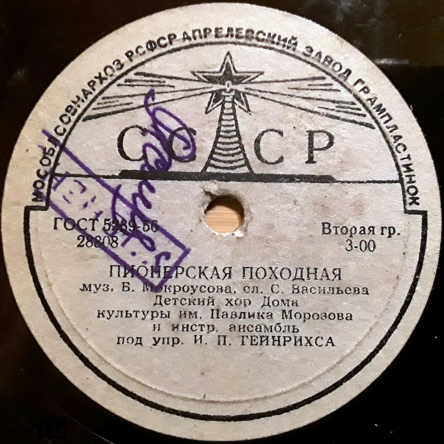 Пионерская походная / Страна моя родимая