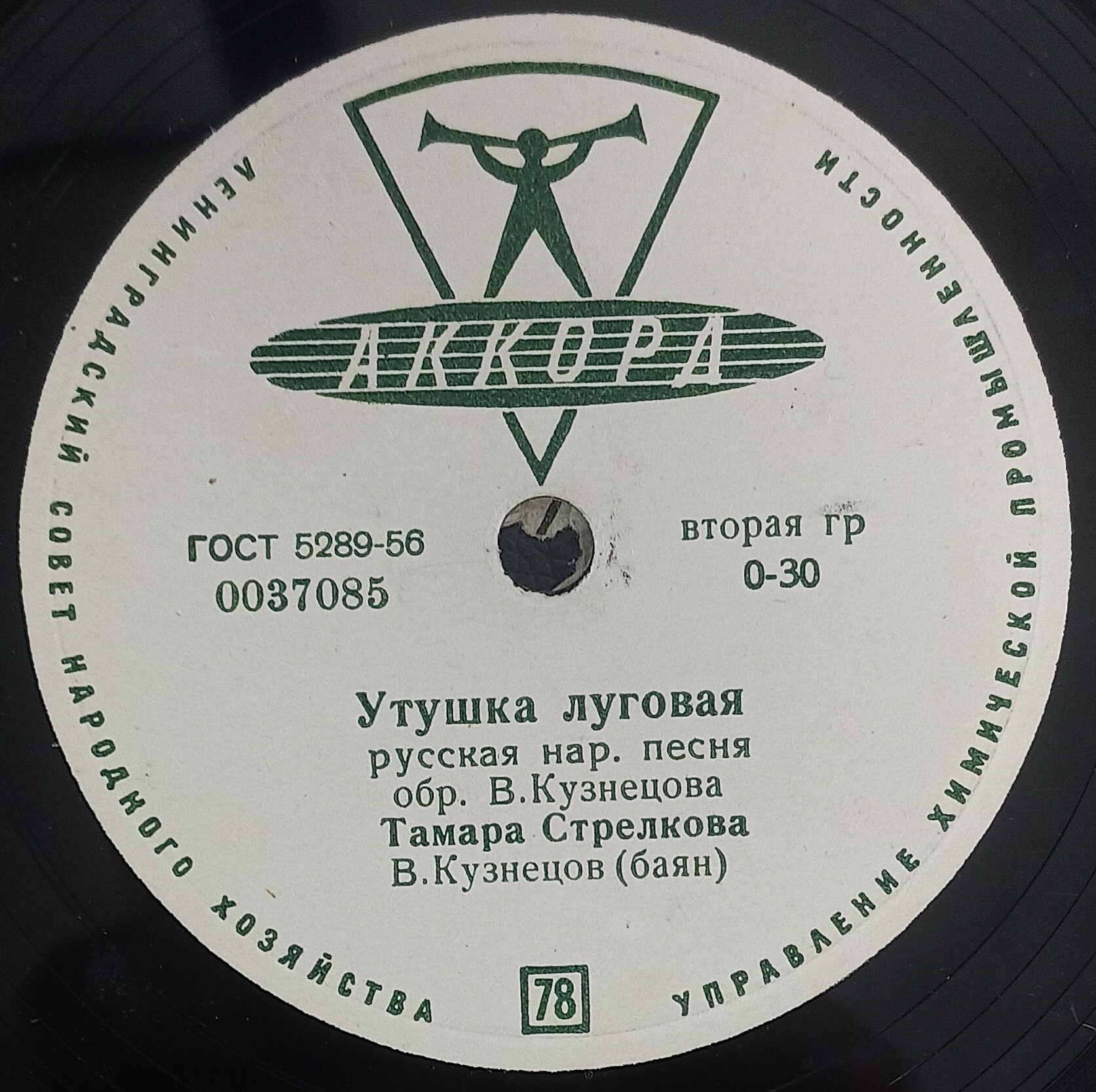 Тамара Стрелкова - Белые грибочки / Утушка луговая
