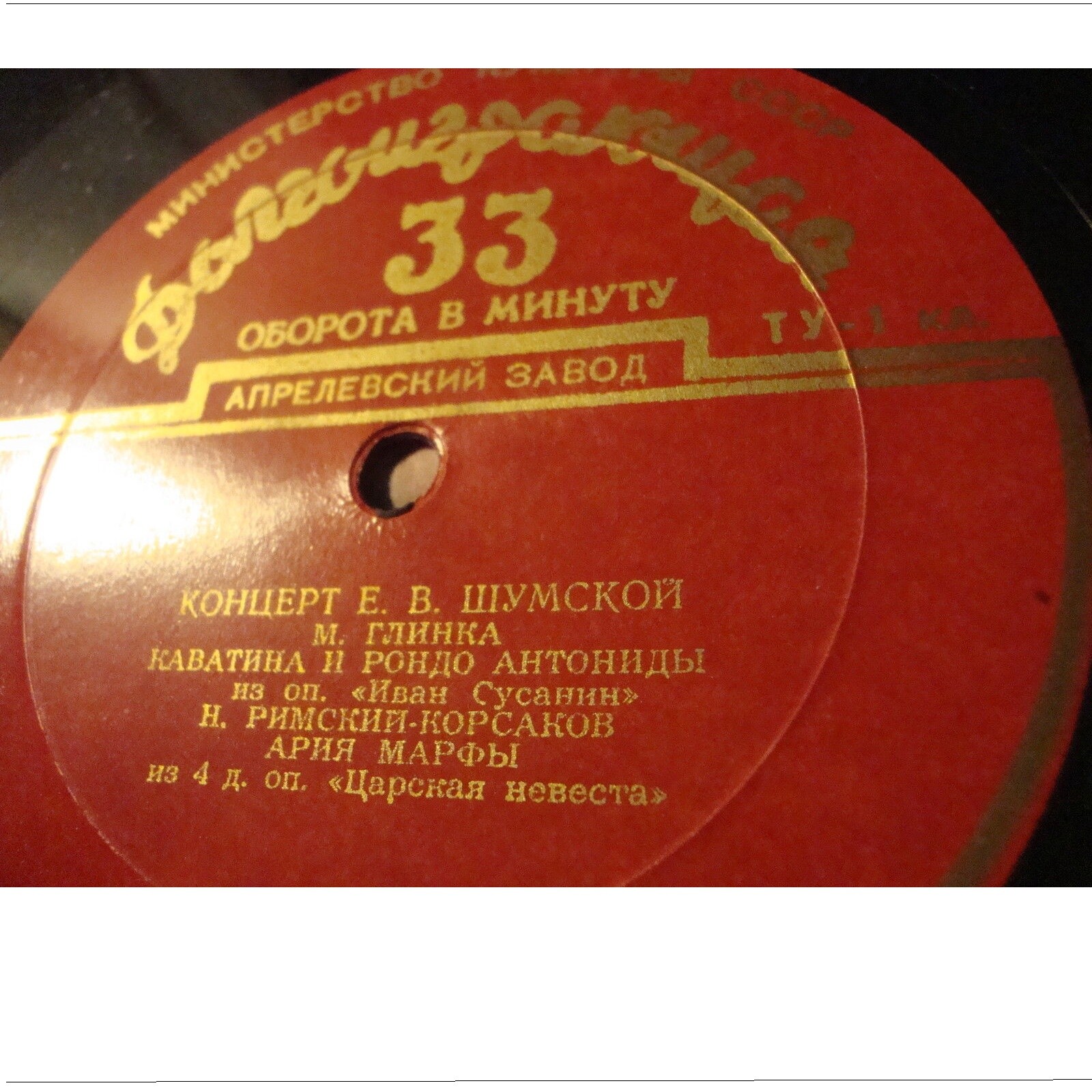 Концерт Е. В. Шумской