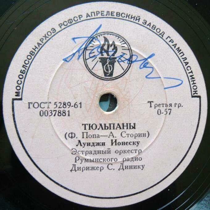 Тюльпаны // Майские цветы