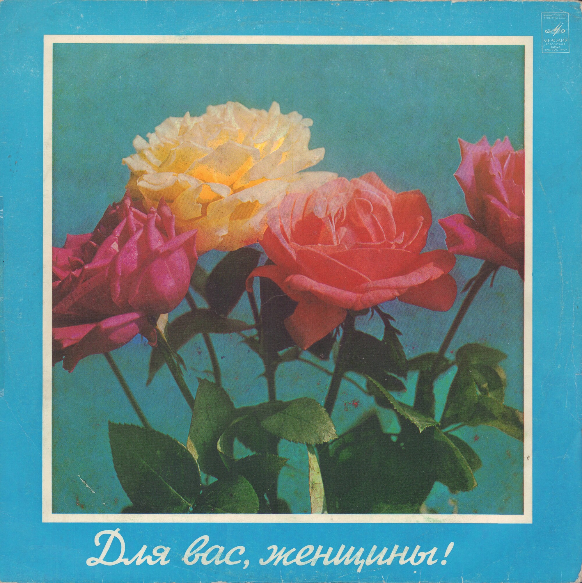 Для вас, женщины!
