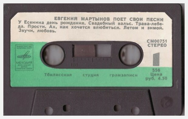 Евгений Мартынов поёт свои песни