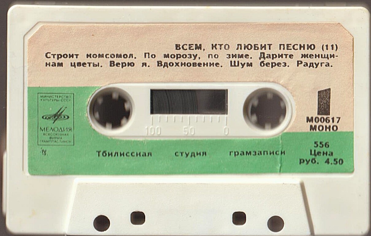 Всем, кто любит песню (11)