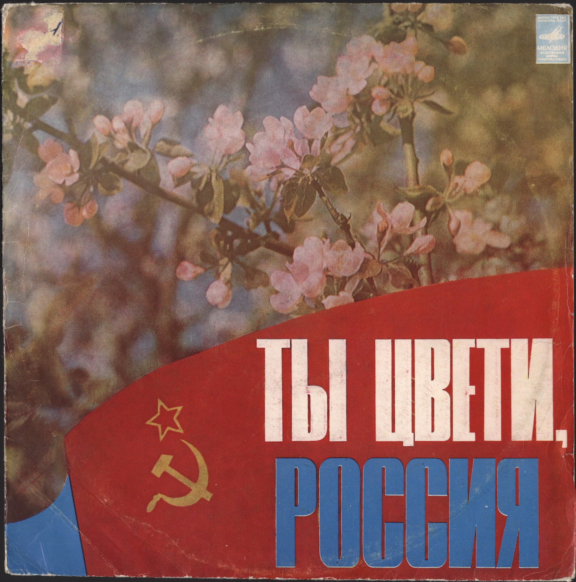 Ты цвети, Россия