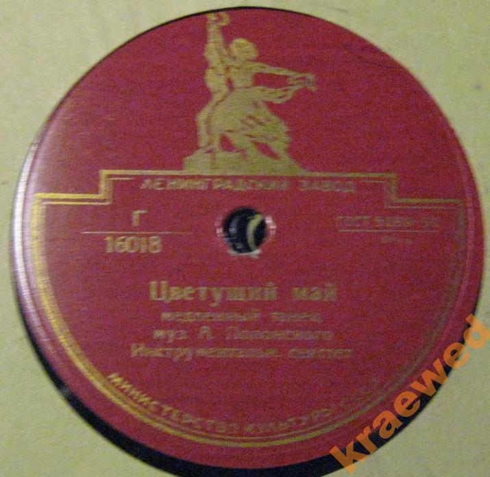 Инстр. ансамбль - Тополь / Цветущий май