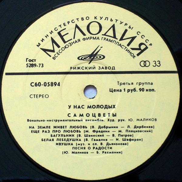 ВИА «Самоцветы». У нас, молодых