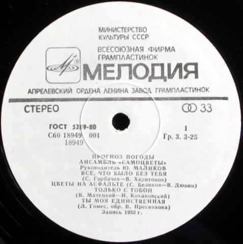 Ансамбль "Самоцветы" - Прогноз погоды