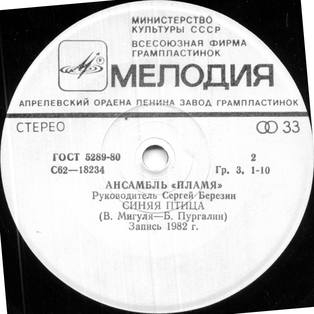 Ансамбль "Пламя". Руководитель Сергей Березин