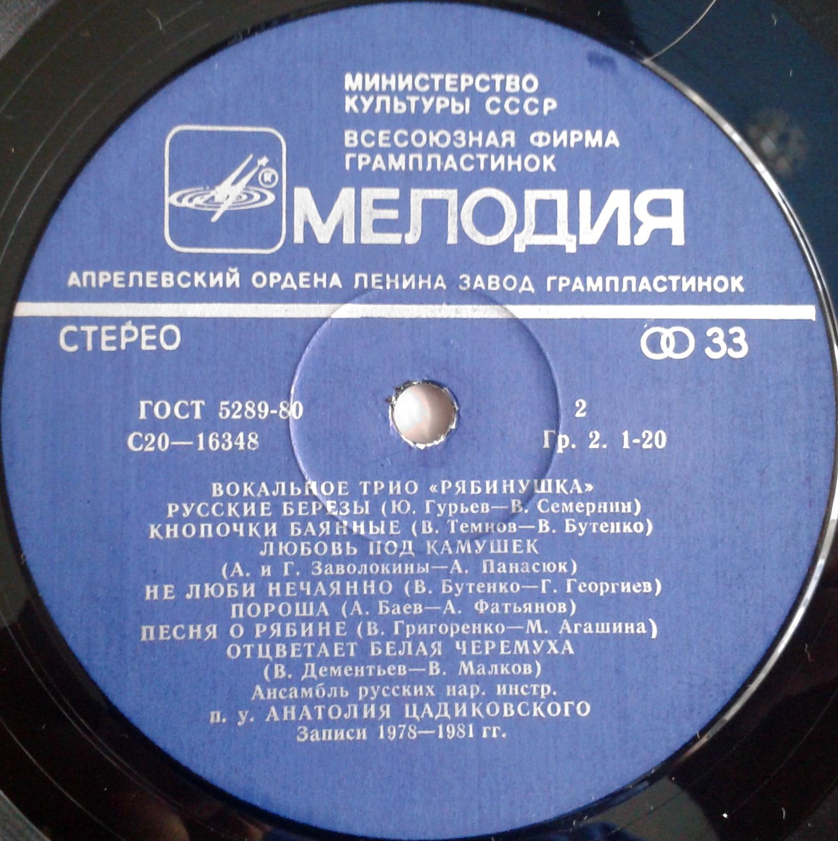 Вокальное трио "Рябинушка"