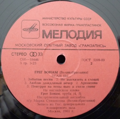 Грег Бонам. Если бы…