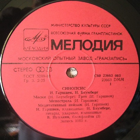 СИНОПСИС (SYNOPSIS): Игорь Гаршнек и Невил Блумберг