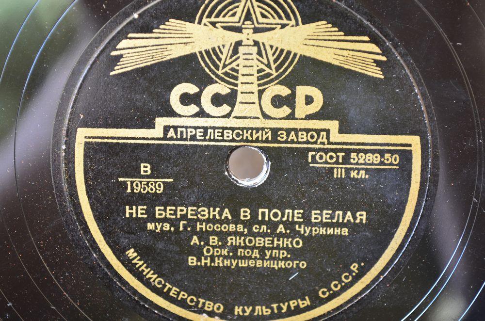 Буду ждать я лётчика / Не берёзка в поле белая