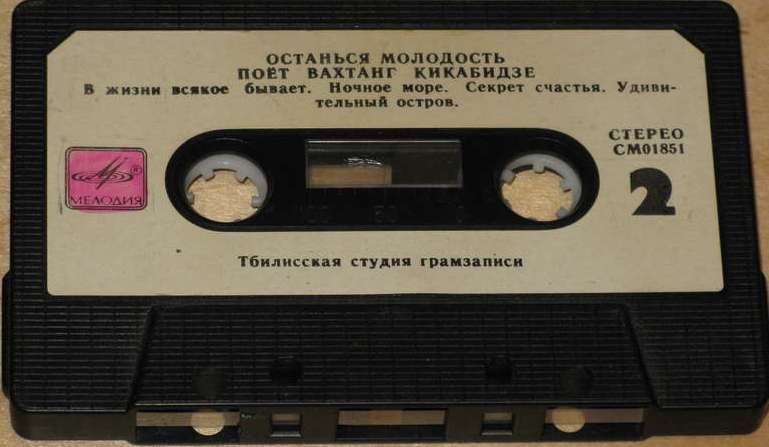 Вахтанг Кикабидзе - Останься молодость