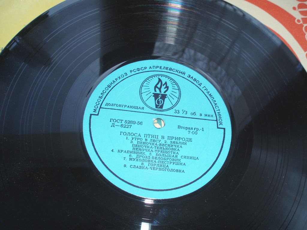 ГОЛОСА ПТИЦ В ПРИРОДЕ (1 серия)