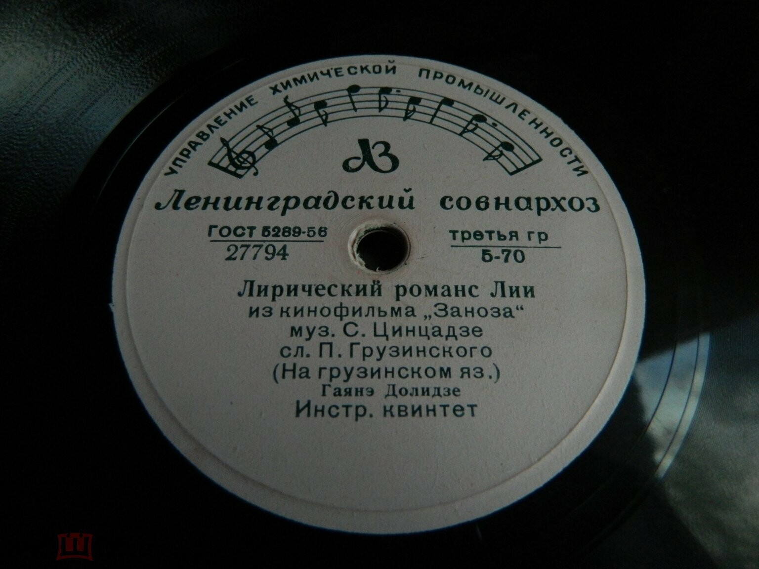 Гаянэ Долидзе (на грузинском языке)