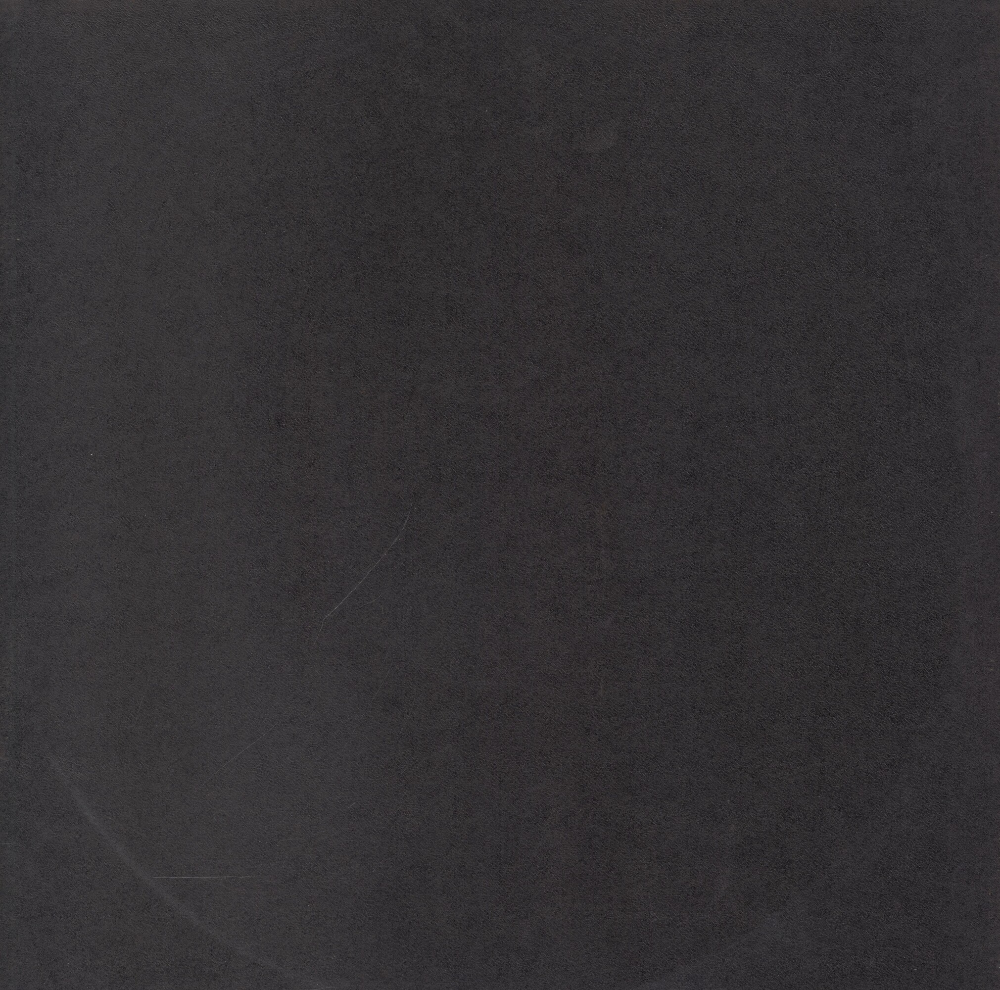 Ф. ЛИСТ Этюды высшего исполнительского мастерства (Лазарь Берман, ф-но)