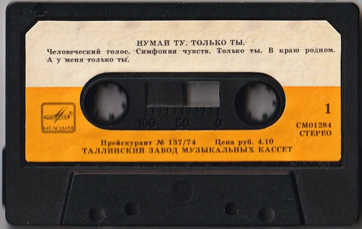 Надежда ЧЕПРАГА «Нумай ту / Только ты»