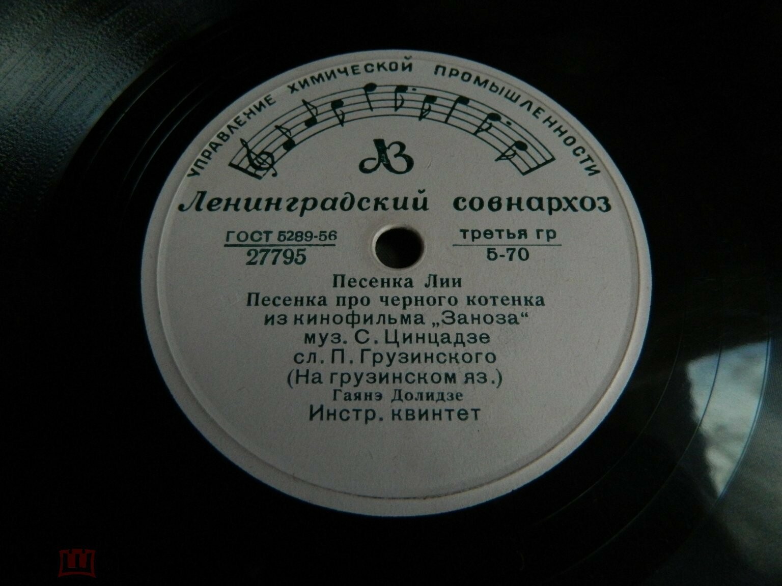 Гаянэ Долидзе (на грузинском языке)