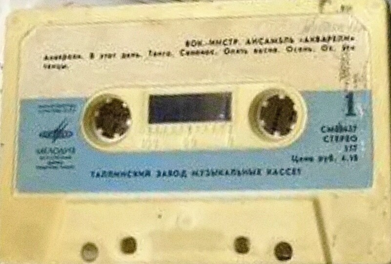 Вокально-инструментальный ансамбль "Акварели"