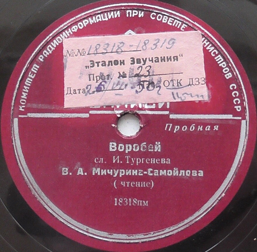 В. МИЧУРИНА-САМОЙЛОВА