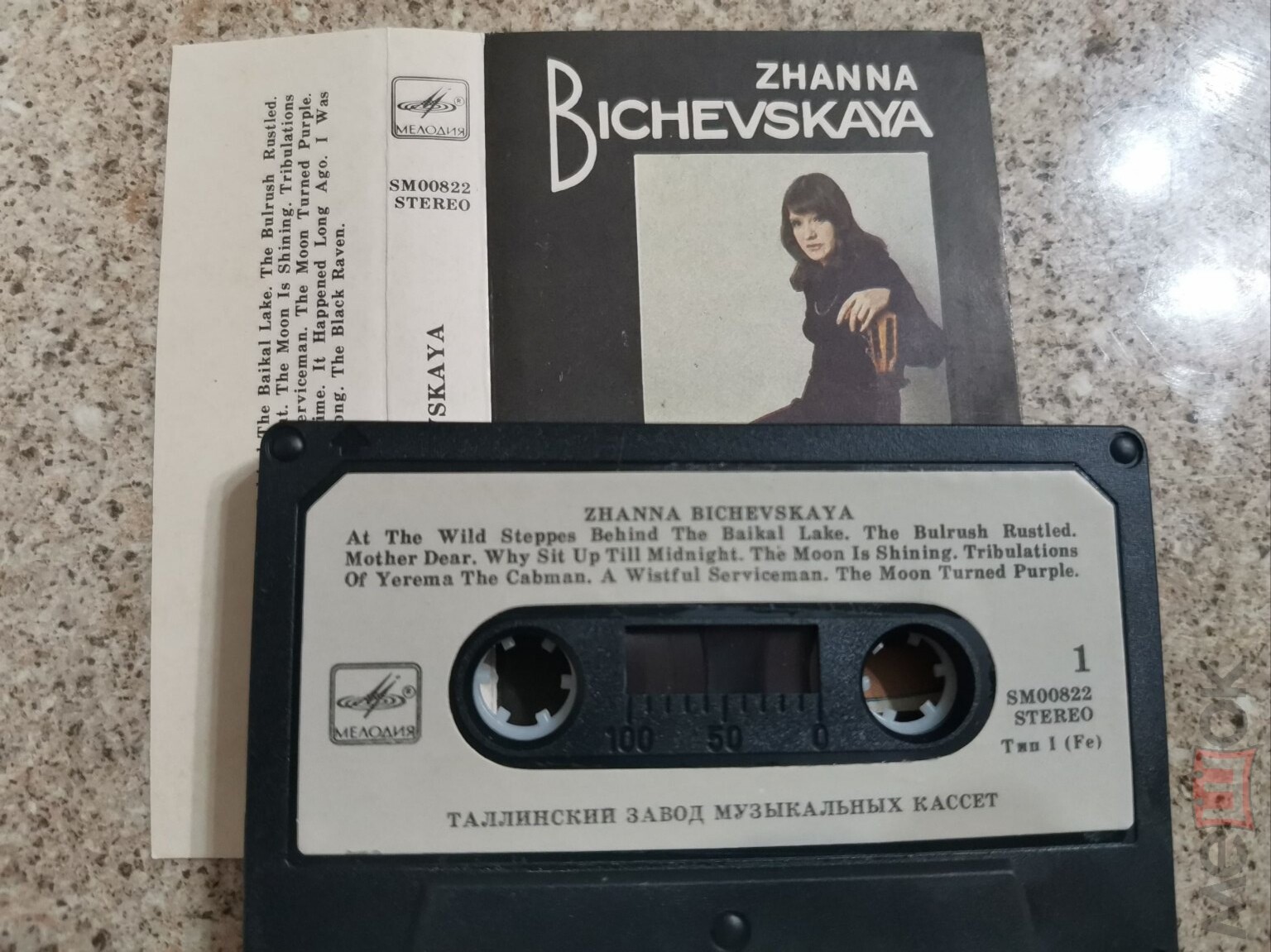 Жанна БИЧЕВСКАЯ
