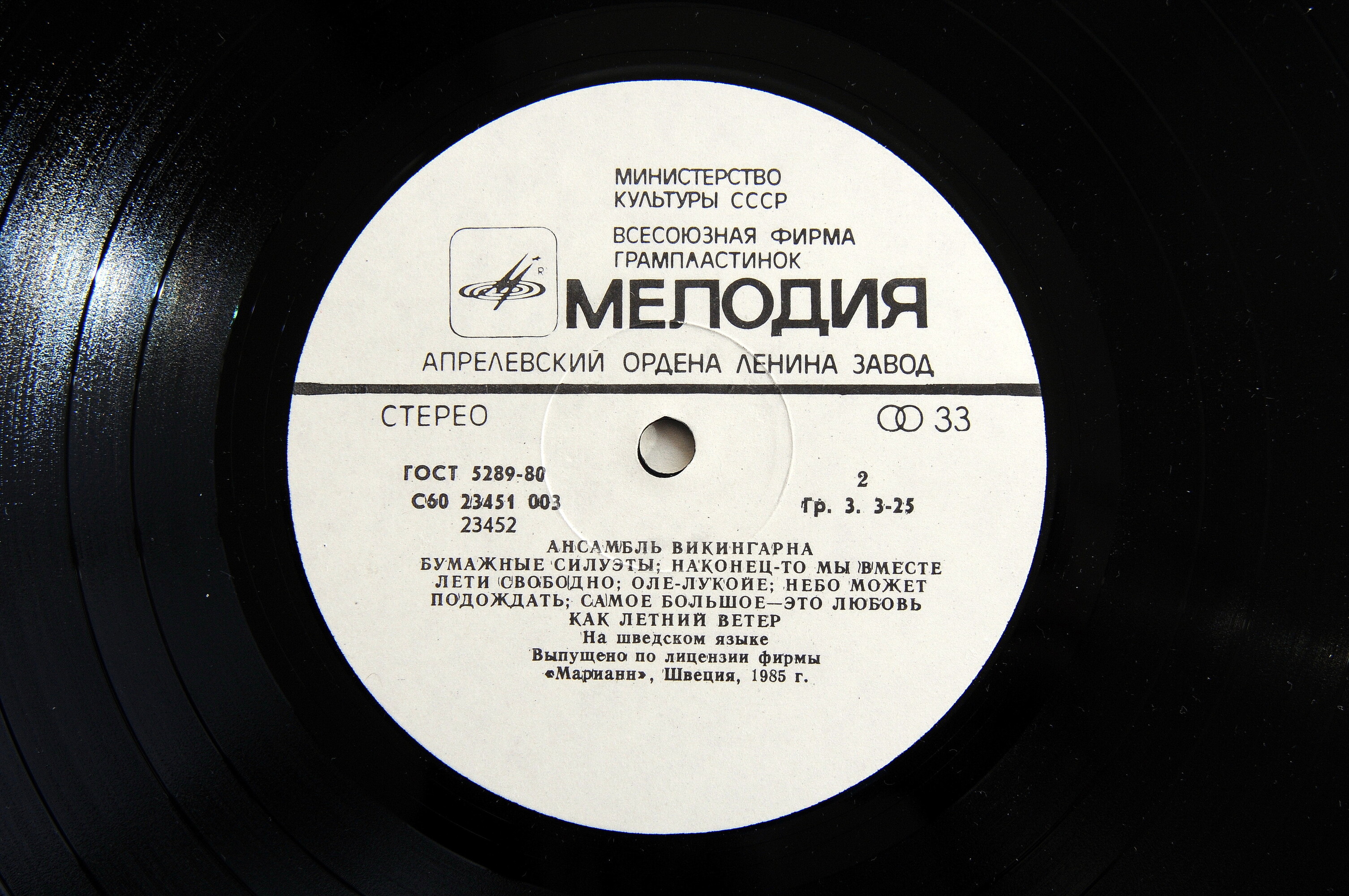 Ансамбль «Викингарна»