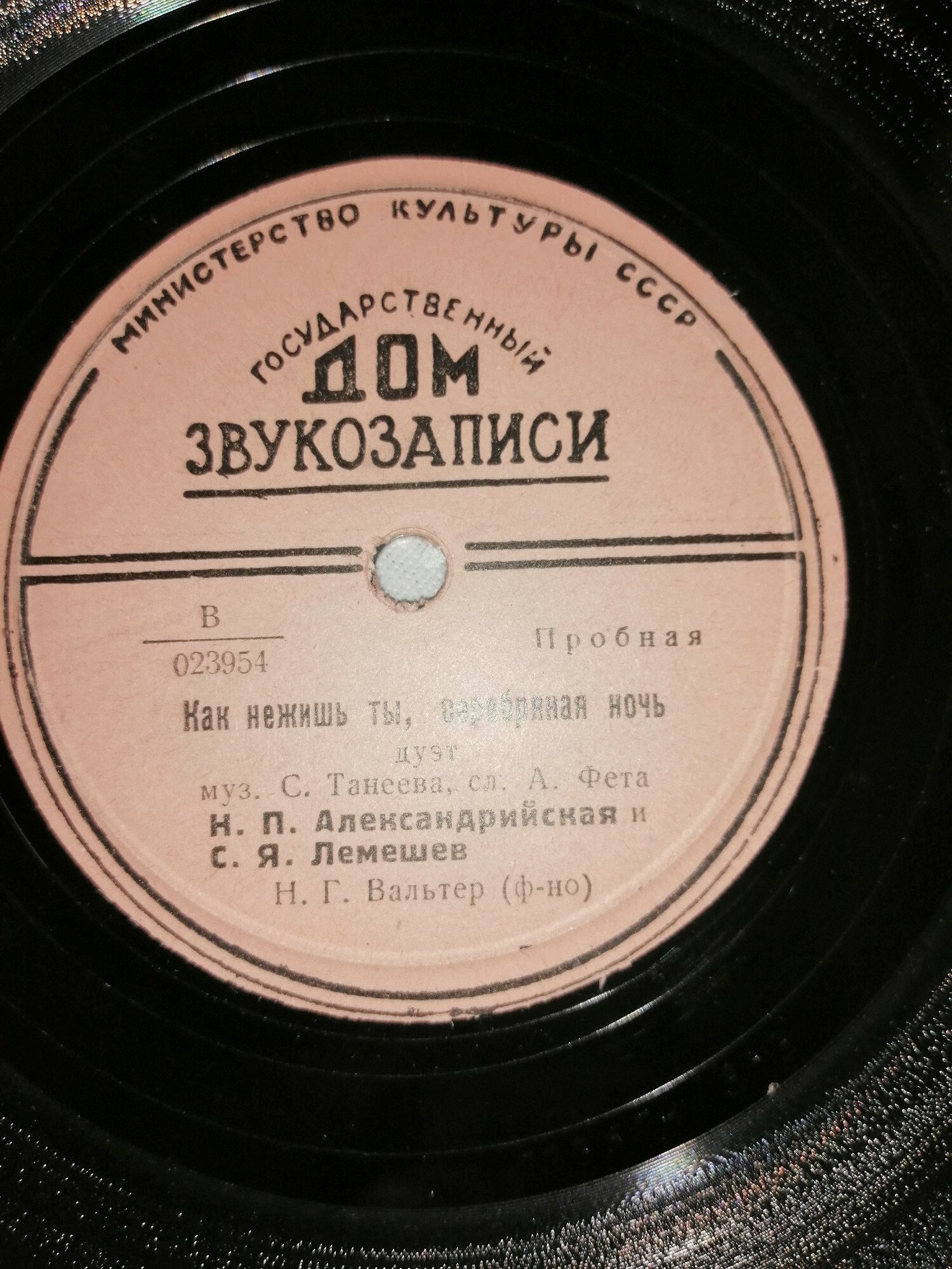 Н. Александрийская и С. Лемешев