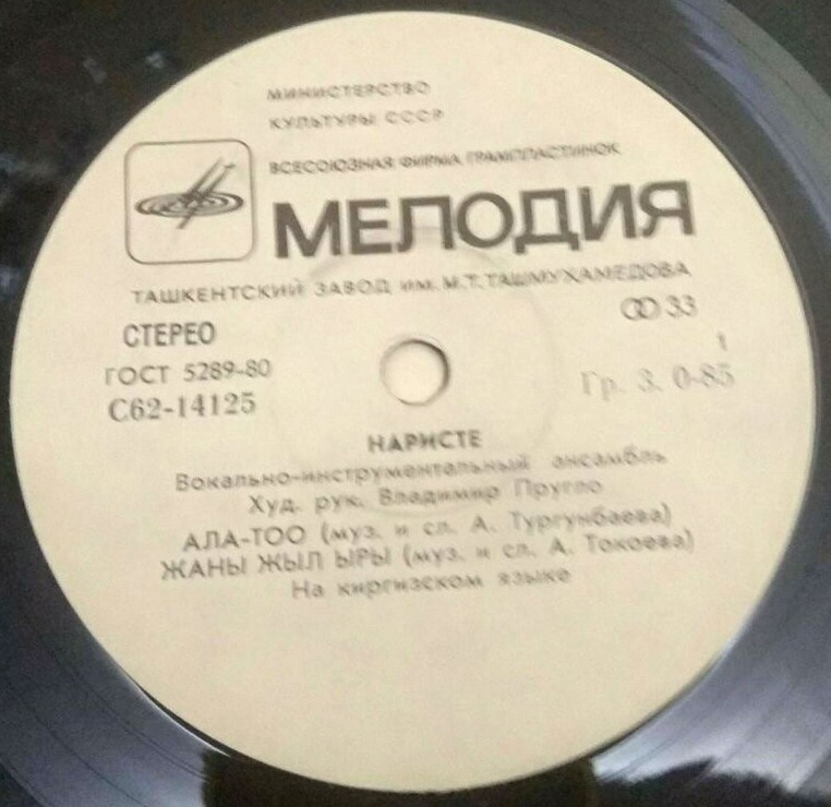 ВОКАЛЬНО-ИНСТР. АНСАМБЛЬ «НАРИСТЕ» п/у Владимира Пругло.