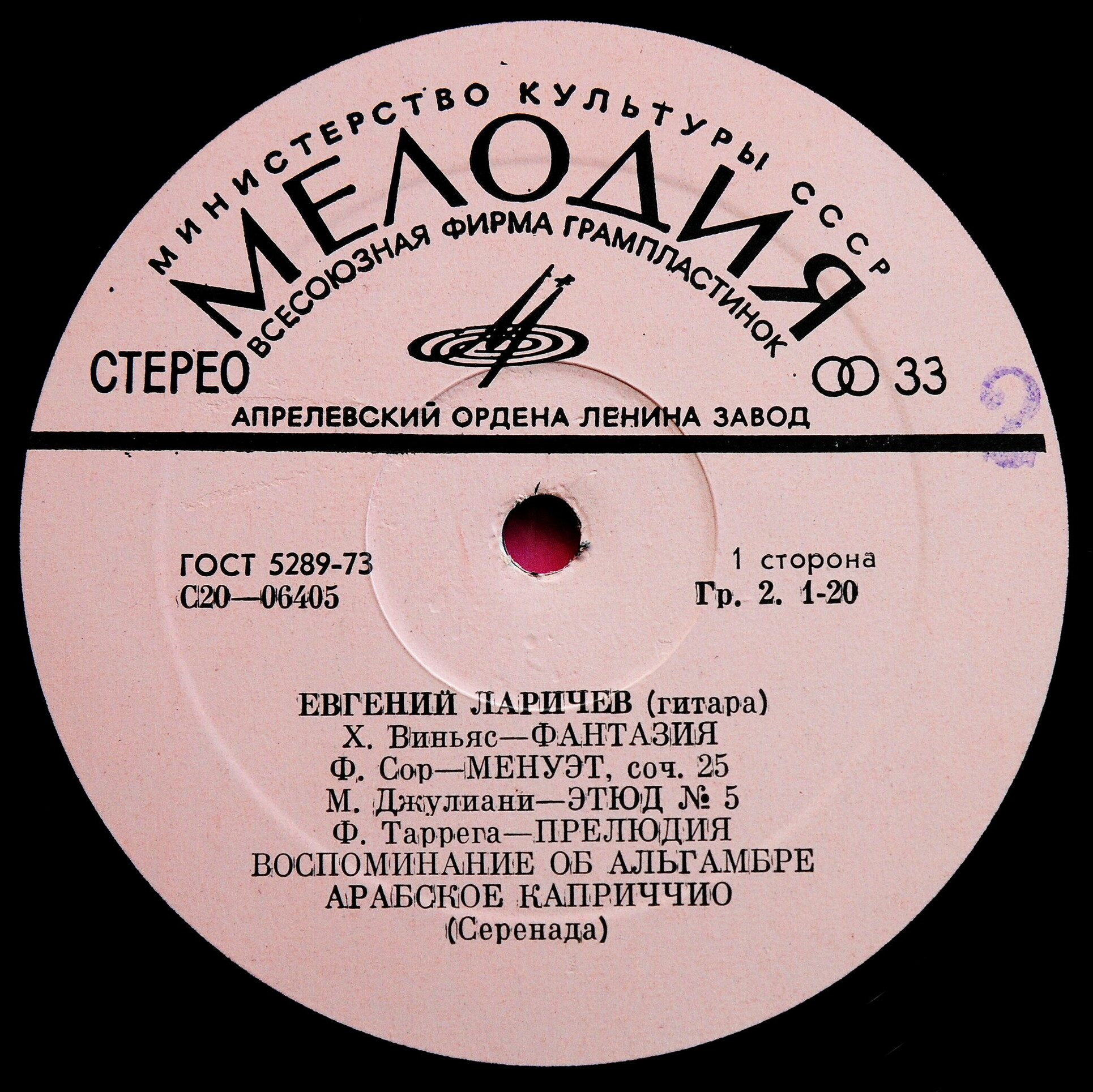 Евгений Ларичев (гитара)