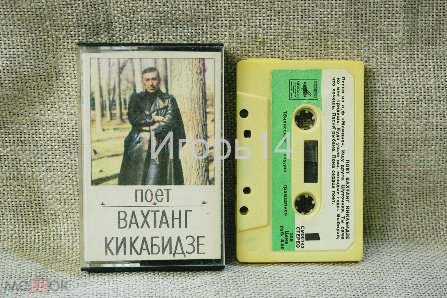 Поёт Вахтанг Кикабидзе