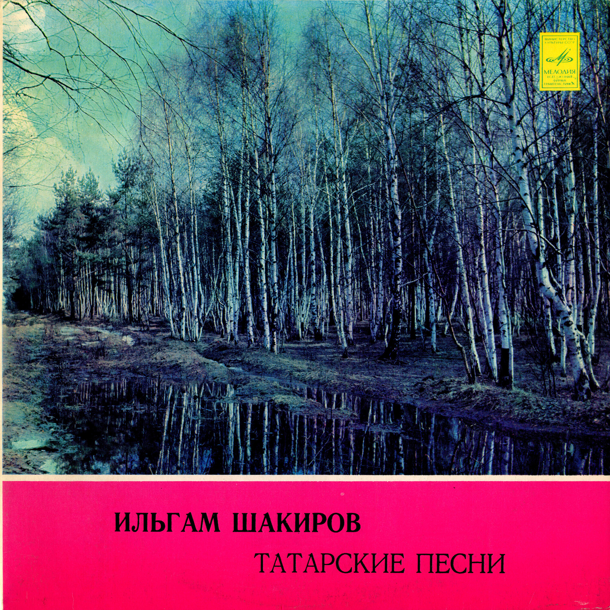 Ильгам Шакиров. Татарские песни