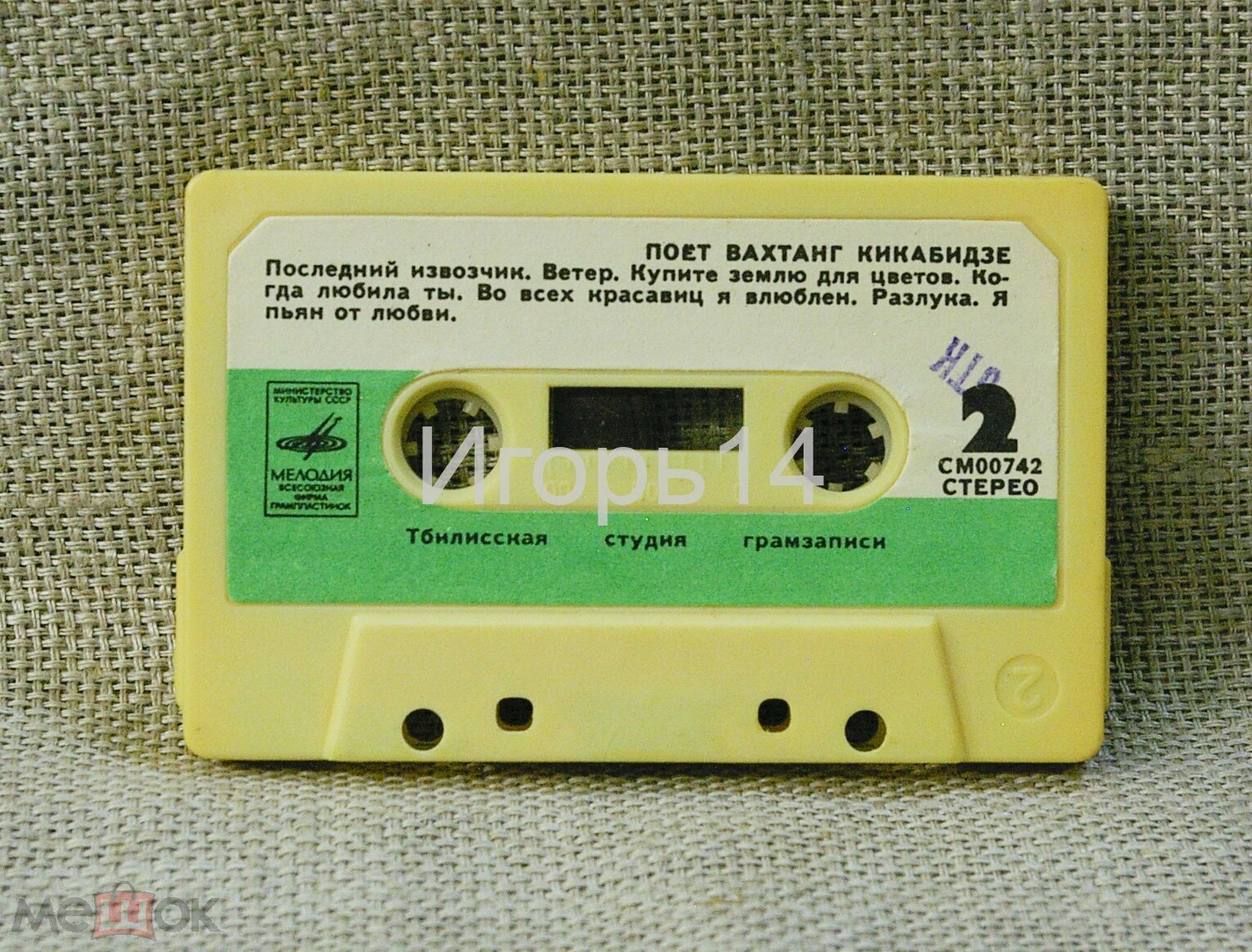 Поёт Вахтанг Кикабидзе