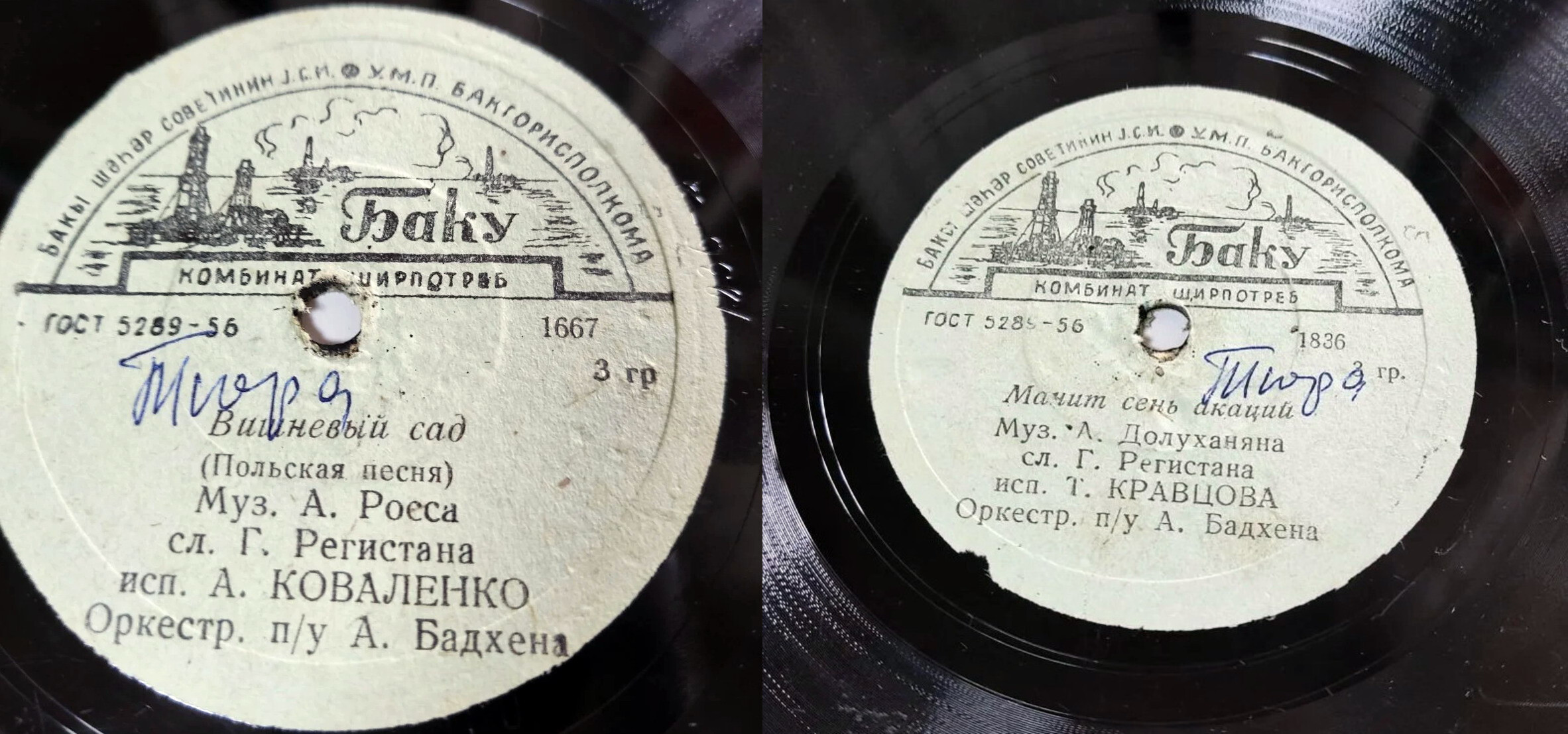 А. Коваленко — Вишнёвый сад // Т. Кравцова — Манит сень акаций