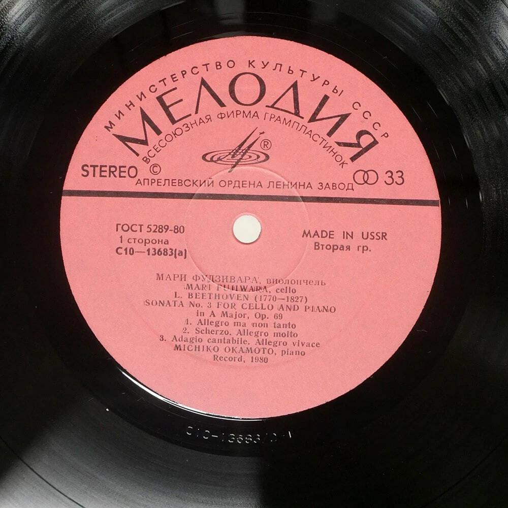 Мари Фудзивара (виолончель)