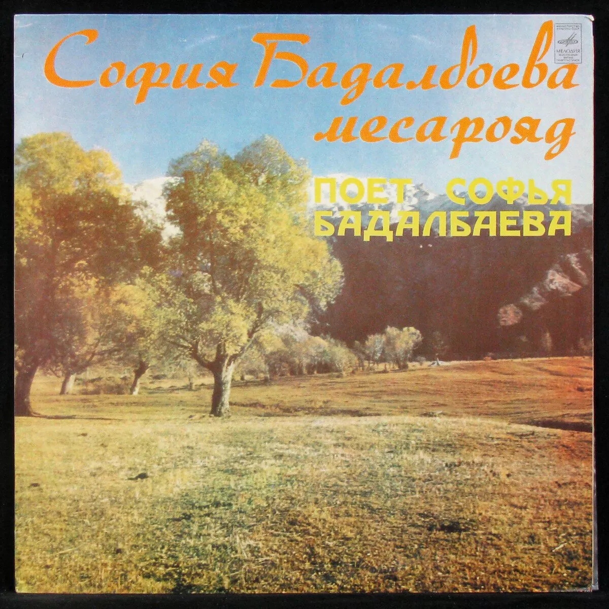 Поет Софья БАДАЛБАЕВА