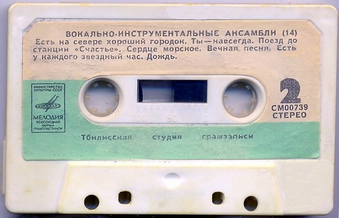 Вокально-инструментальные ансамбли (14)