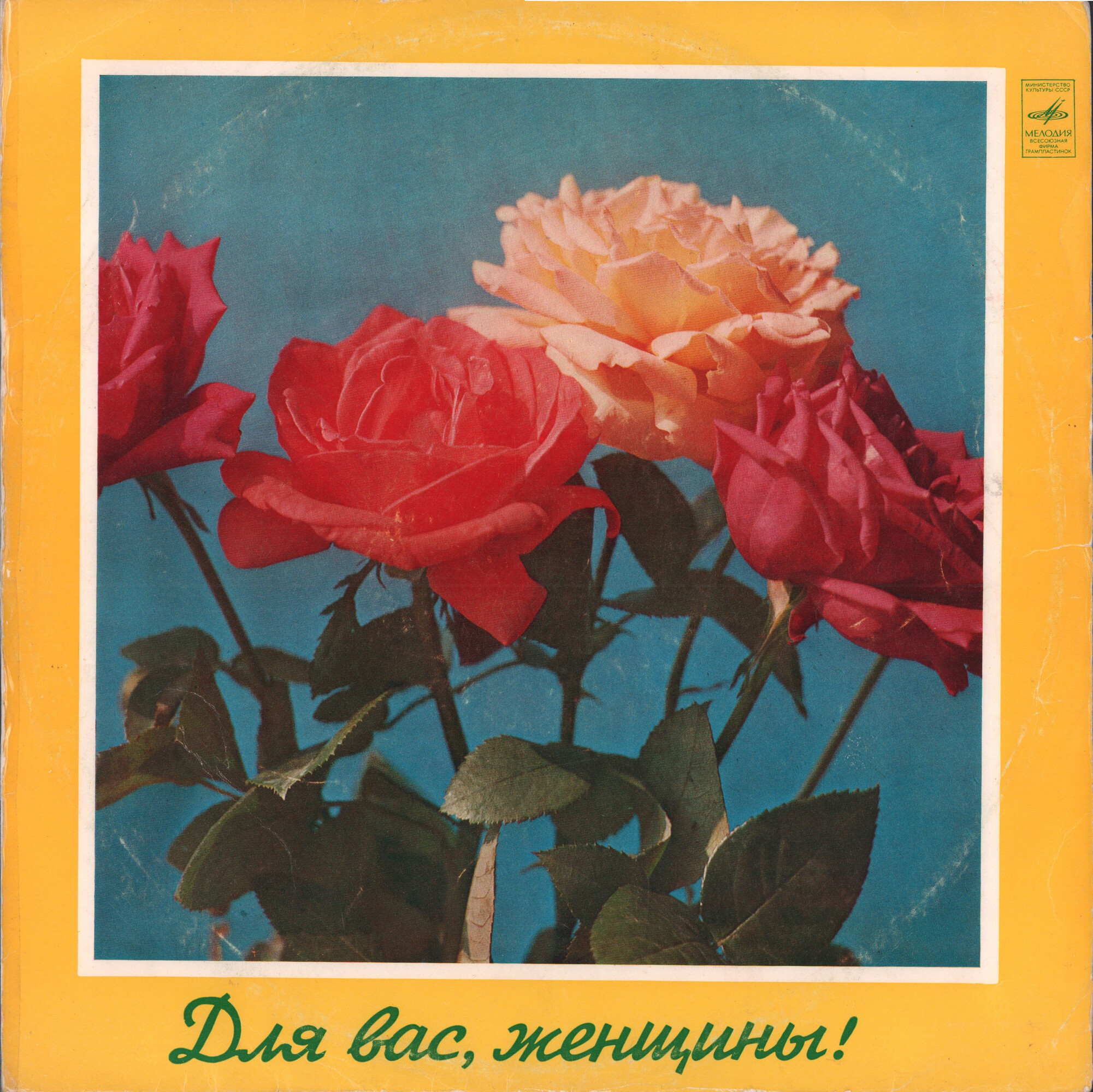 Для вас, женщины!