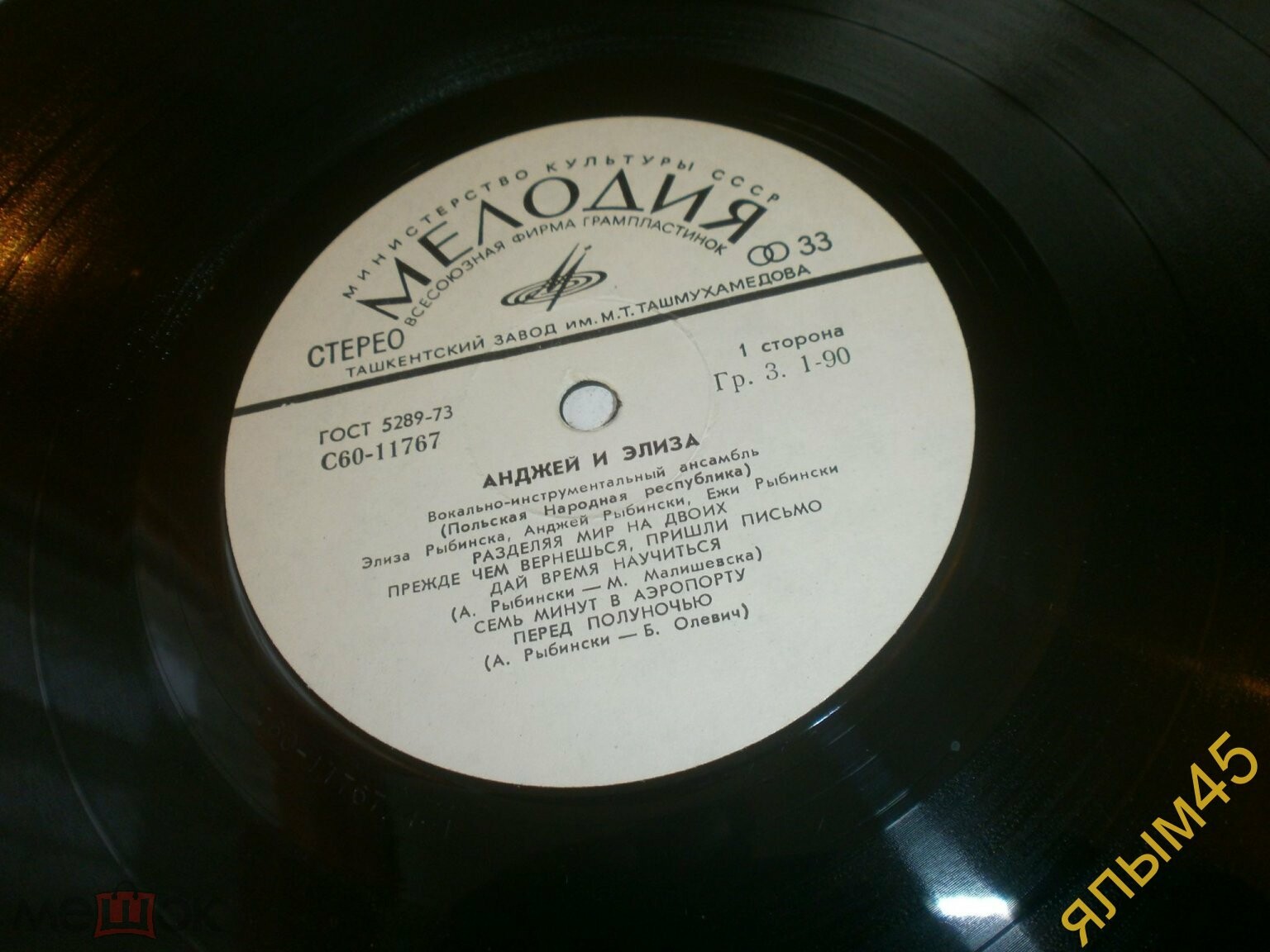 Вокально-инструментальный ансамбль "Анджей и Элиза" (Польша)