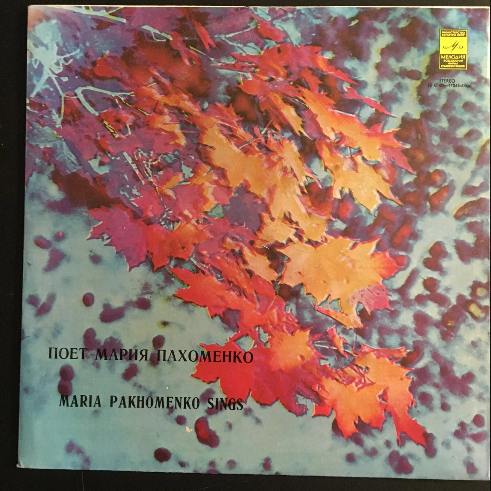 Мария Пахоменко