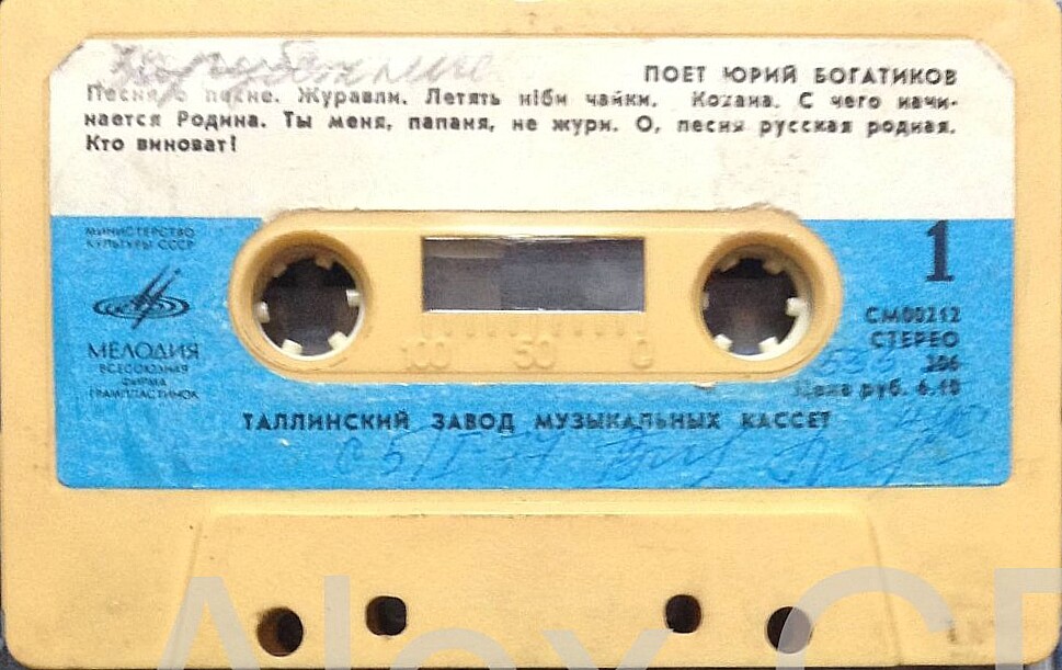 Поет Юрий Богатиков